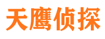 莱西寻人公司